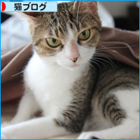 おにぎり山_a0389088_18085648.jpg