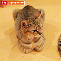 お嫁入り道具_a0389088_18085715.jpg