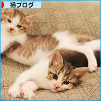 お嫁入り道具_a0389088_18085775.jpg