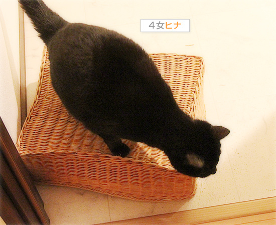 歳が離れていても_a0389088_18085799.jpg