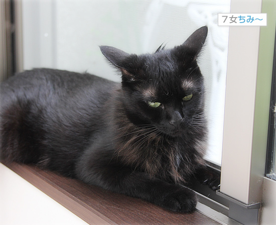 恋がはじまる?_a0389088_18085836.jpg