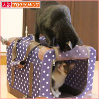 歳が離れていても_a0389088_18085841.jpg