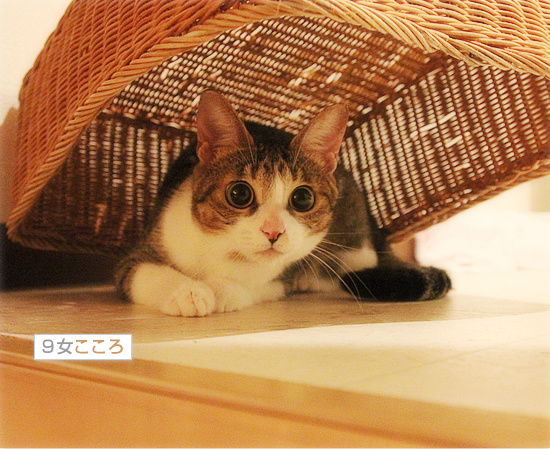 歳が離れていても_a0389088_18085866.jpg