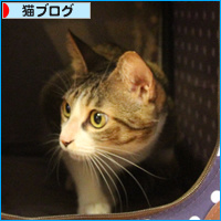 歳が離れていても_a0389088_18085898.jpg