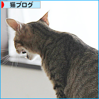 恋がはじまる?_a0389088_18085901.jpg
