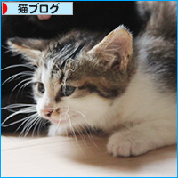 そばにいてね_a0389088_18085939.jpg