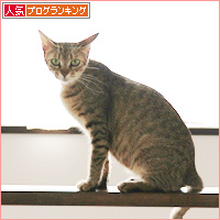 恋がはじまる?_a0389088_18085958.jpg