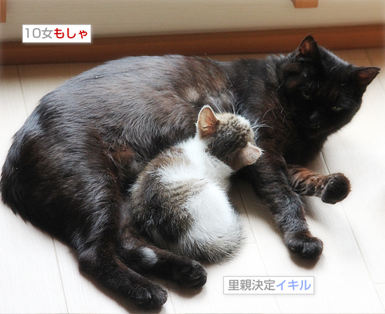 まだまだ、おっぱい_a0389088_18090002.jpg