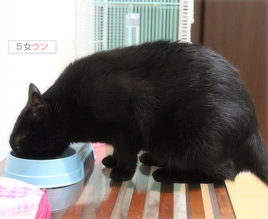 秘密のごはん_a0389088_18090025.jpg