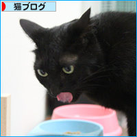 秘密のごはん_a0389088_18090087.jpg