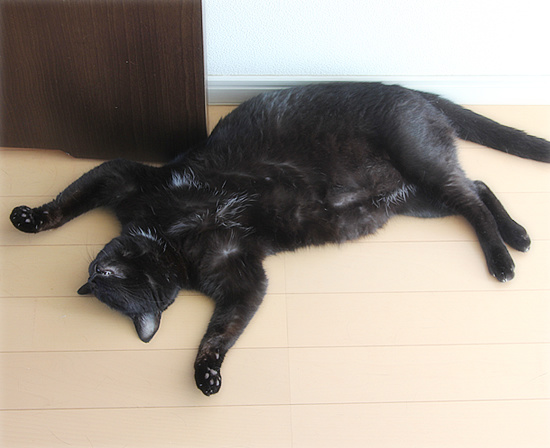 仕事を見張る者_a0389088_18090105.jpg