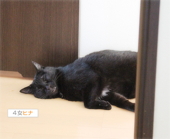 仕事を見張る者_a0389088_18090147.jpg