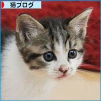 まだまだ、おっぱい_a0389088_18090175.jpg