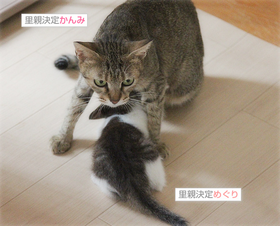 まだまだ、おっぱい_a0389088_18090199.jpg