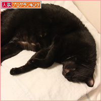 仕事を見張る者_a0389088_18090206.jpg
