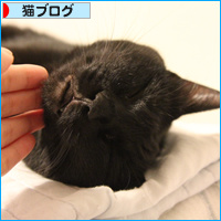 仕事を見張る者_a0389088_18090298.jpg