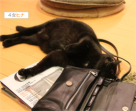 それぞれの抗議_a0389088_18090306.jpg