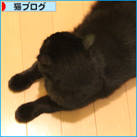 それぞれの抗議_a0389088_18090312.jpg