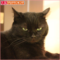 それぞれの抗議_a0389088_18090387.jpg