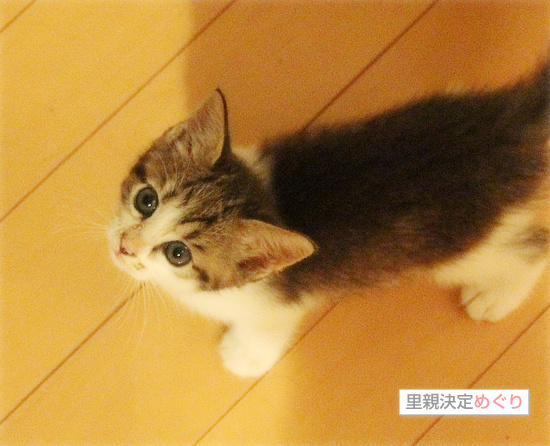 やっぱり男の子_a0389088_18090454.jpg