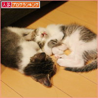 やっぱり男の子_a0389088_18090466.jpg