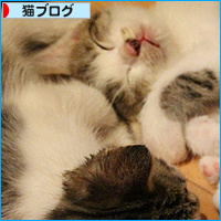 やっぱり男の子_a0389088_18090490.jpg