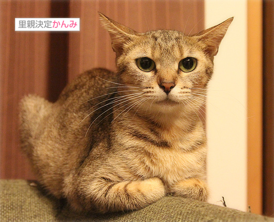 母の眼_a0389088_18090612.jpg