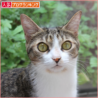 朝の起こしかた(2017年カレンダー販売のおしらせ)_a0389088_18090626.jpg