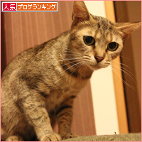 母の眼_a0389088_18090650.jpg