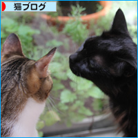 朝の起こしかた(2017年カレンダー販売のおしらせ)_a0389088_18090680.jpg