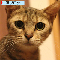 母の眼_a0389088_18090773.jpg