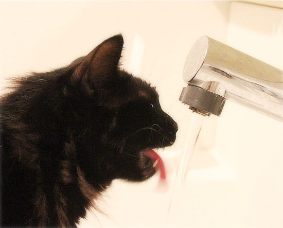 そこで飲むの!?_a0389088_18090912.jpg