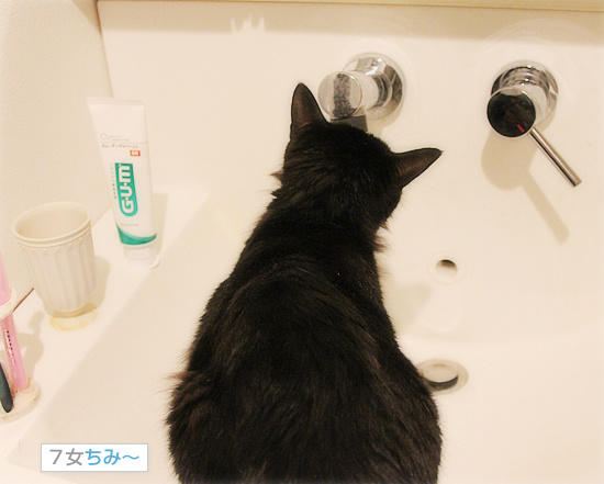 そこで飲むの!?_a0389088_18090928.jpg