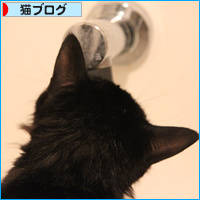 そこで飲むの!?_a0389088_18090941.jpg