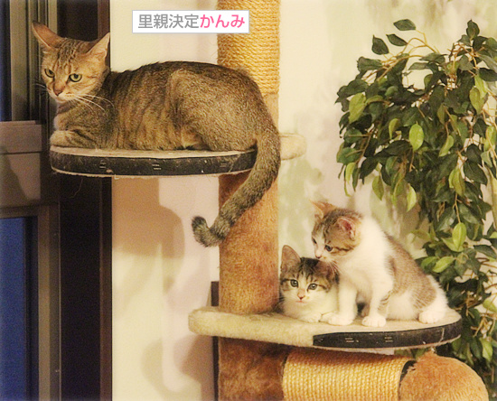 ついに制覇!・・・の裏側は_a0389088_18091230.jpg