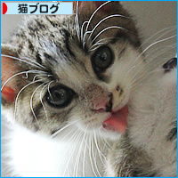 ついに制覇!・・・の裏側は_a0389088_18091249.jpg