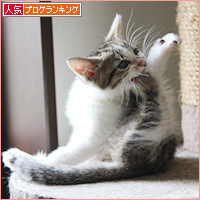 ついに制覇!・・・の裏側は_a0389088_18091263.jpg