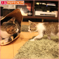 新しい袋(動画あり)_a0389088_18091544.jpg