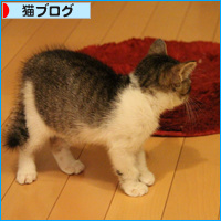 新しい袋(動画あり)_a0389088_18091581.jpg