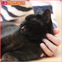猫エイズ発症の不安_a0389088_18092550.jpg
