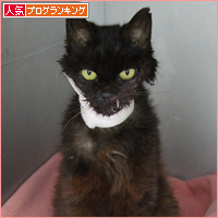 病院へ_a0389088_18093563.jpg