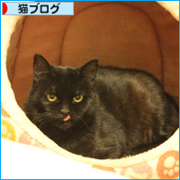 病院へ_a0389088_18093577.jpg