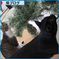 少し早いクリスマスプレゼント_a0389088_18094318.jpg