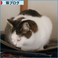 ついにケージの外へ!_a0389088_18094403.jpg