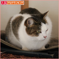 ついにケージの外へ!_a0389088_18094418.jpg