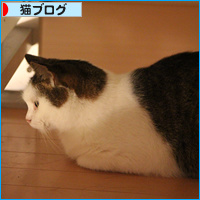 しろちゃん、まさかの・・・_a0389088_18094512.jpg