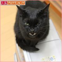 今日は・・・_a0389088_18094604.jpg
