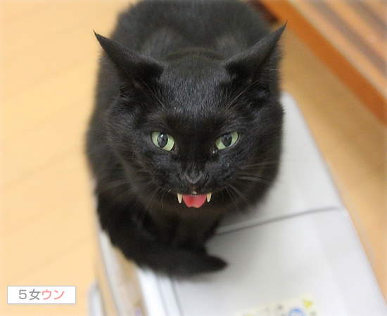 今日は・・・_a0389088_18094623.jpg