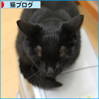 今日は・・・_a0389088_18094669.jpg