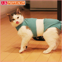それぞれのフード_a0389088_18094821.jpg